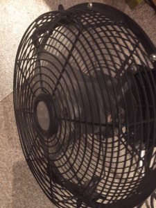 Fan